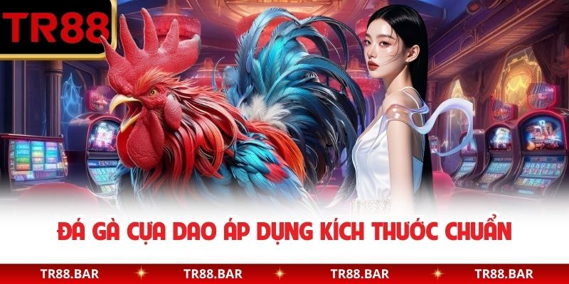 Đá gà cựa dao áp dụng kích thước chuẩn